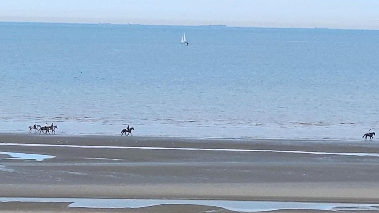 Zeezicht Vanop Het 6 De Verdiep Oostduinkerke Eksteriør billede
